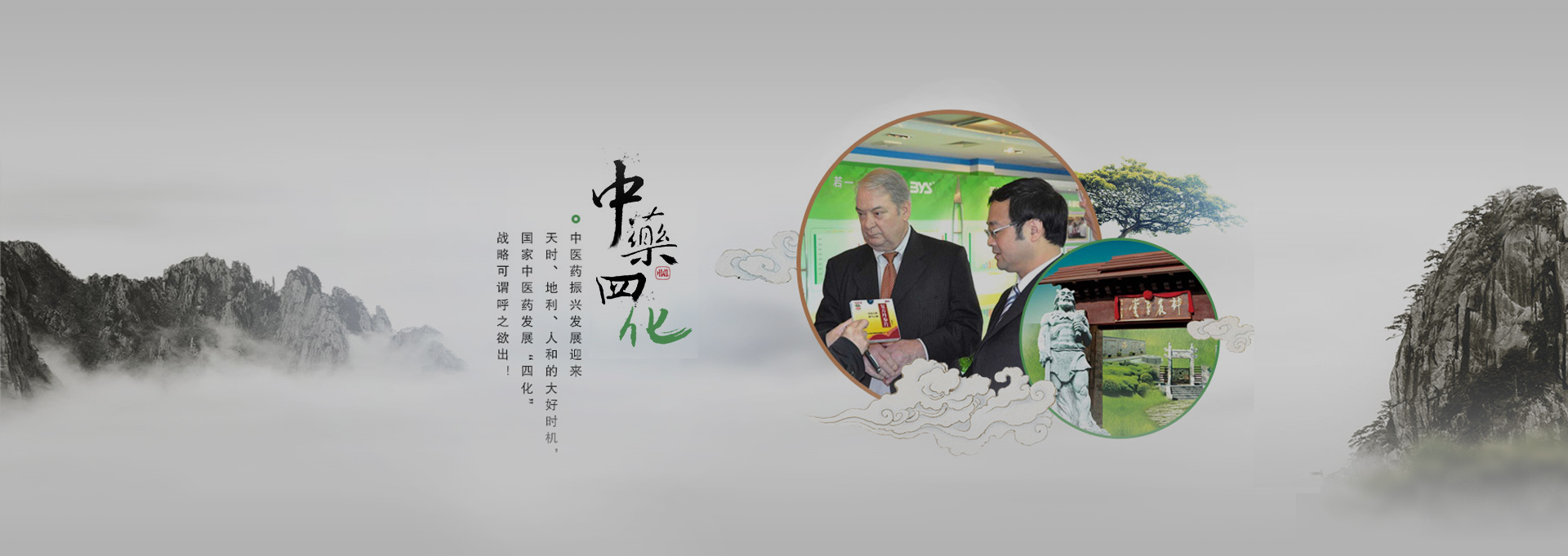 平和建站-若一医药科技